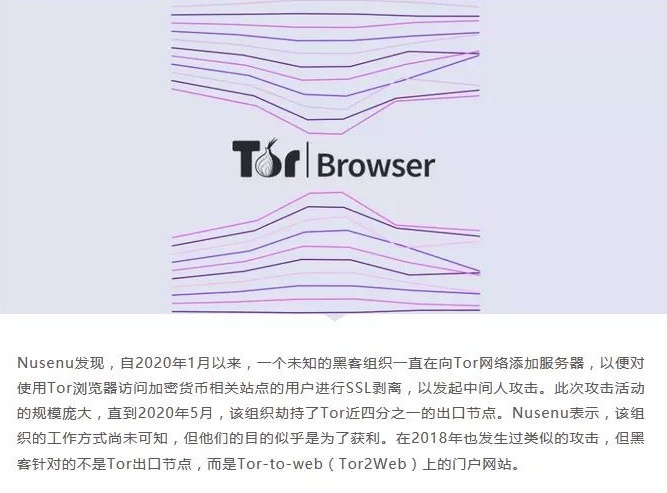 �������ǲ�-������ʱ�й�����