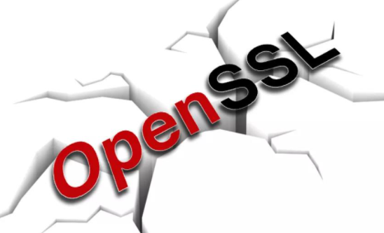 OpenSSL�����徲���£����޸���Ʒ�е�2���徲���.png