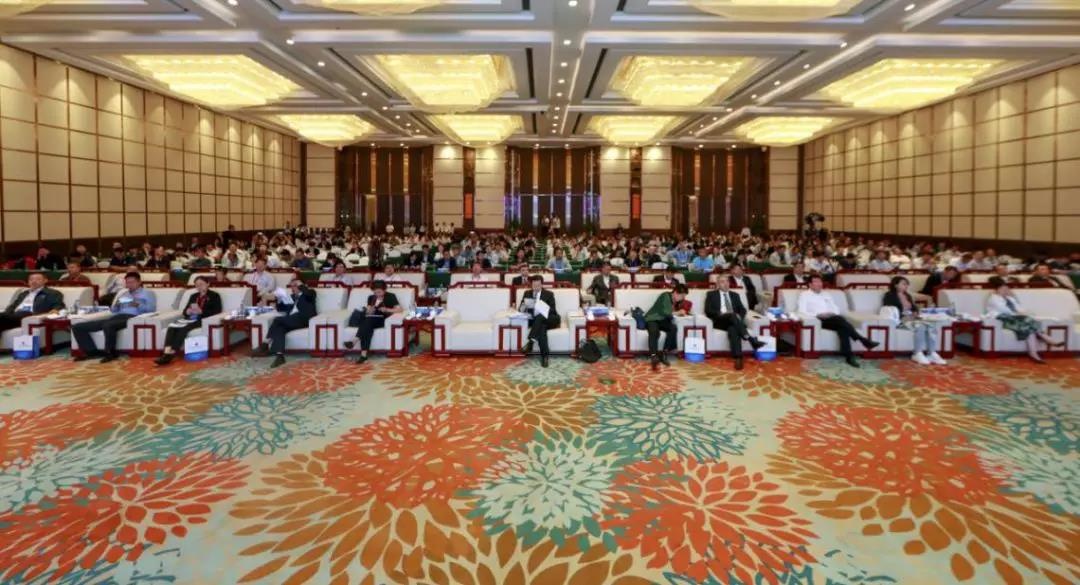 �������ǲ�-������ʱ�й�����