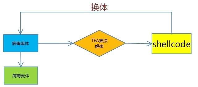 �������ǲ�-������ʱ�й�����