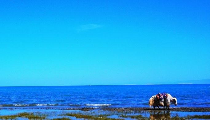 �������ǲ�-������ʱ�й�����