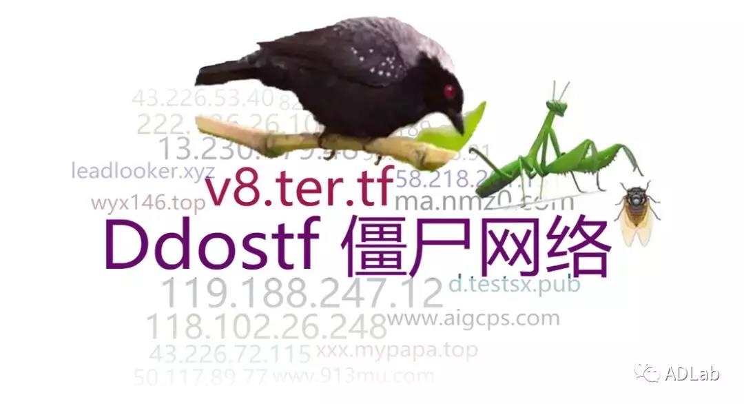 �������ǲ�-������ʱ�й�����