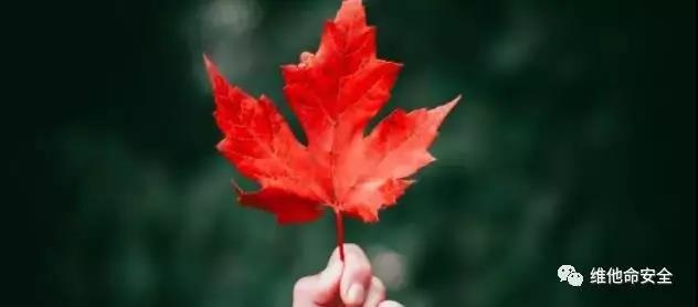 �������ǲ�-������ʱ�й�����