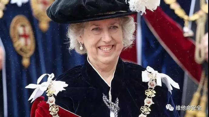 �������ǲ�-������ʱ�й�����