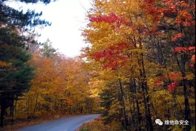 �������ǲ�-������ʱ�й�����