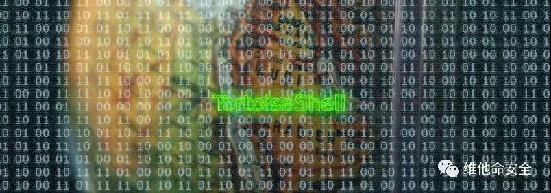 �������ǲ�-������ʱ�й�����