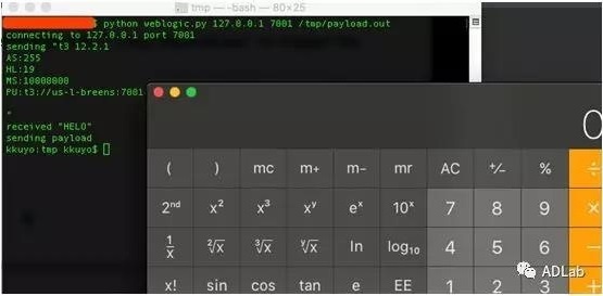 �������ǲ�-������ʱ�й�����