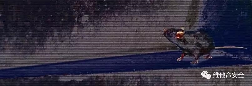 �������ǲ�-������ʱ�й�����