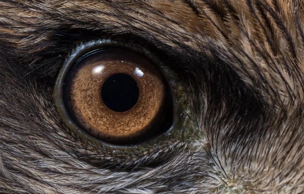 �������ǲ�-������ʱ�й�����