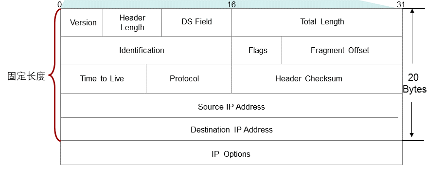 �������ǲ�-������ʱ�й�����